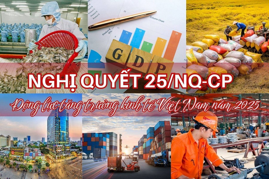 Nghị quyết 25/NQ - CP