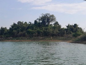 Thanh Hóa: Du khách đổ dồn về Bến En trong kỳ nghỉ lễ