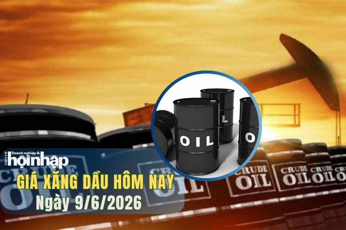 Giá xăng dầu hôm nay 9/6/2026: Dầu thế giới tiếp tục tăng nhẹ