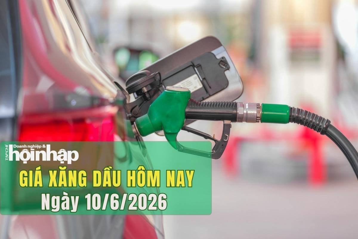 Giá xăng dầu hôm nay 10/6/2026: Giá dầu thế giới giảm sâu 3%