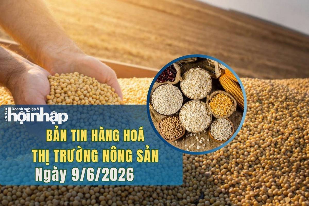 Thị trường nhóm nông sản 9/6/2026: Giá lúa mì và ngô phục hồi, đậu tương nối dài đà giảm trên CBOT