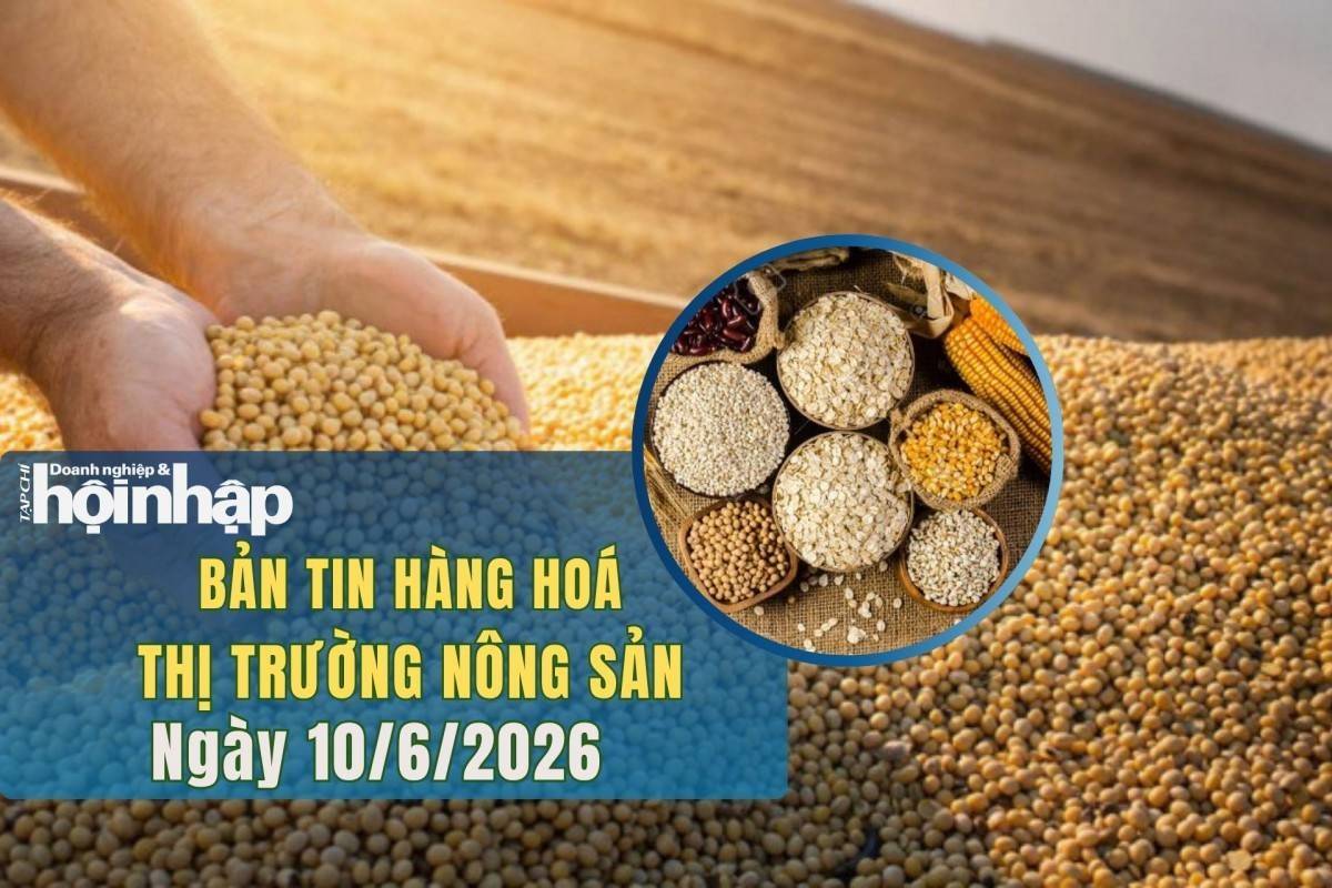 Thị trường nhóm nông sản 10/6/2026: Giá lúa mì phục hồi, ngô diễn biến trái chiều, đậu tương tiếp tục giảm