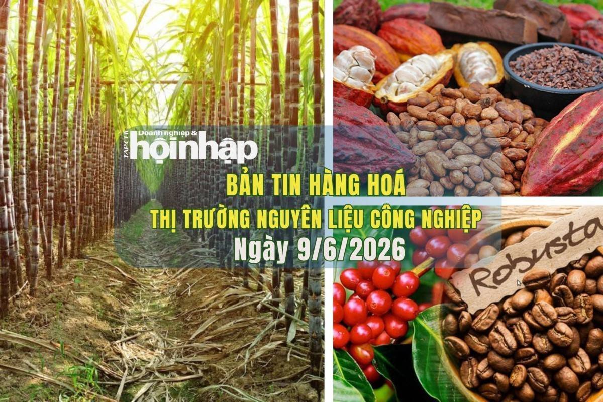 Thị trường nguyên liệu công nghiệp 9/6/2026: Giá cà phê giảm nhẹ, ca cao tăng trở lại, đường đi ngang