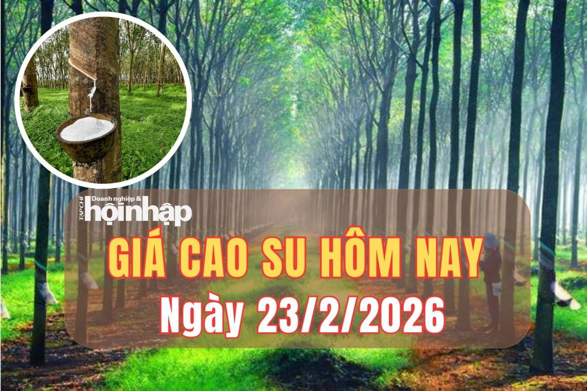 Giá cao su hôm nay 23/2/2026: Trong nước lặng sóng, Tokyo tăng nhẹ, Thượng Hải giảm sâu